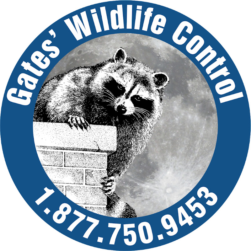 Gates Wildlife Control