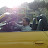 @ernestkj Avatar
