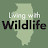 Living with Wildlife - Illinois