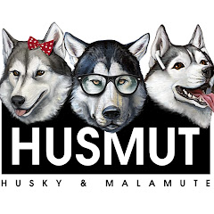 HUSMUT / HUSky and malaMUTe /