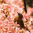 @anomous2307's avatar