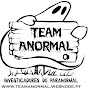 Team Anormal logo