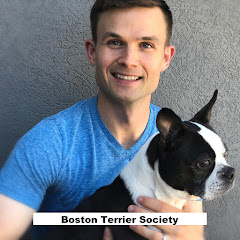 Boston Terrier Society net worth