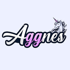 Aggnes Gaming net worth