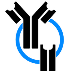 AIRR Community