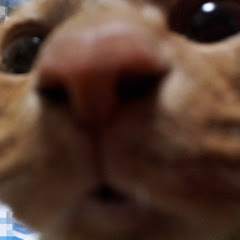 トラベルとらら