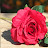 @blessings2478