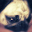 @mrpixelator's avatar