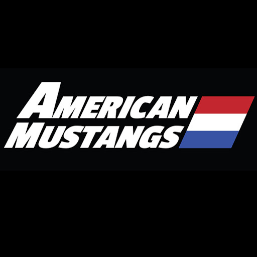 American Mustangs