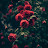 @punishedchris8576's avatar