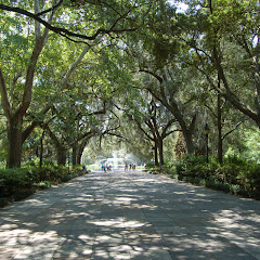 Auto Trails net worth