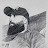 @midotheonel7965 Avatar