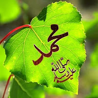 أحسان المحسن profile image