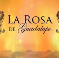 La rosa De guadalupe HD