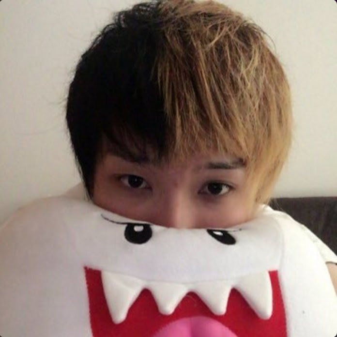 ヒカル（Hikaru） Net Worth & Earnings (2026)