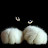 @franm.8343