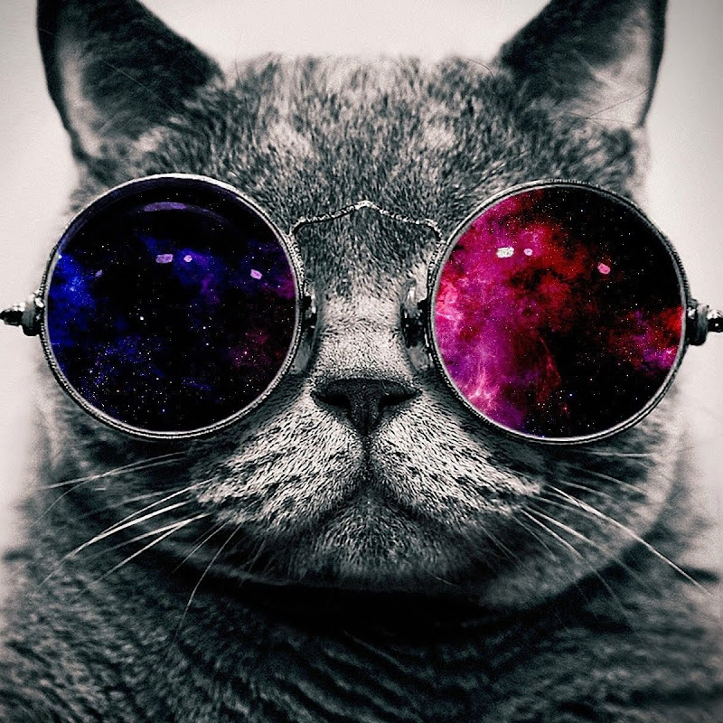 Channel Avatar