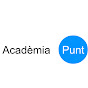 Acadèmia Punt i Coma logo