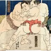 日本japan相撲sumo