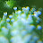 @chazmogul Avatar
