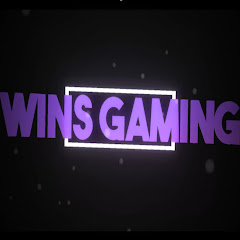 Wins Gaming avatar
