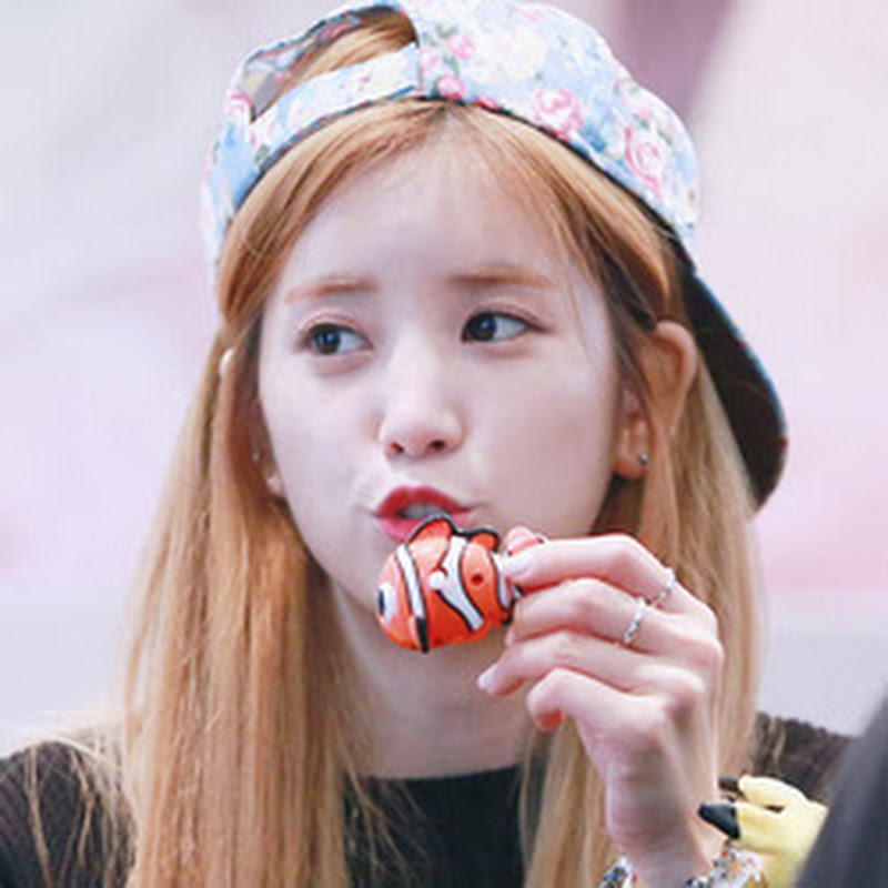 Apink 9211