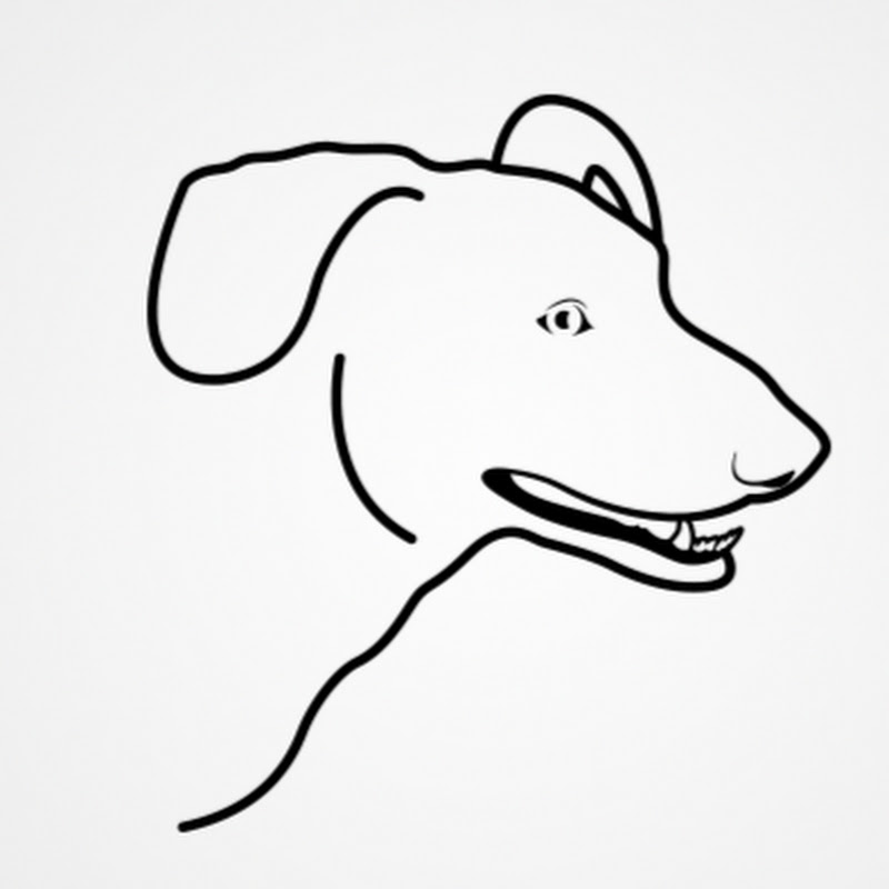 Automation by Rain the Dog