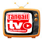 Tangail Tv logo