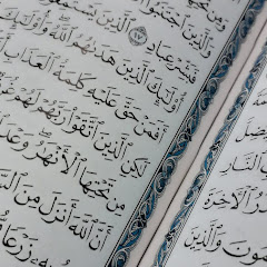 Muhammad Naseel Shahrukh Avatar