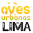 Aves Urbanas de Lima