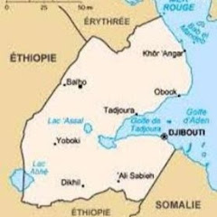 Réseau des Actualité Djiboutiennes net worth
