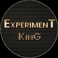 Experiment King Avatar