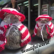 Beautiful world