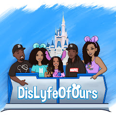 DisLyfeOfOurs net worth