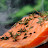 @fish2036's avatar