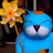 @a.j.151