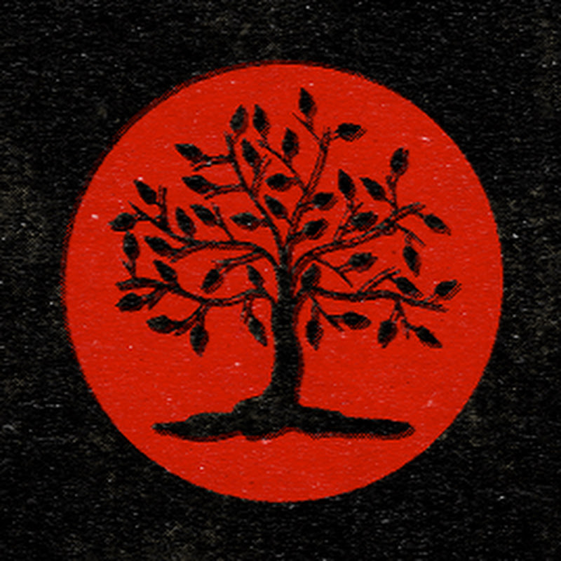 Autonomia Literária