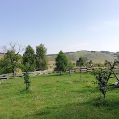 Jurnalul de Călătorii