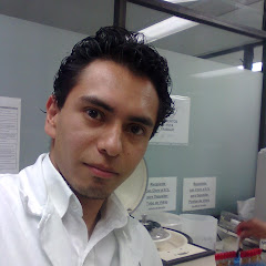 Cam J. Vargas Hdez.
