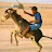 @whatsappstatuses5260