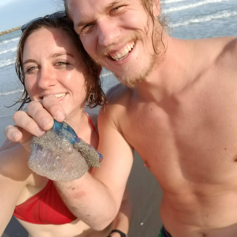 sailingr.v.hyperborean6958