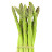 @someasparagus