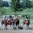 Utah Quarter Horse Association Racing