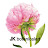 @jkbotanicalart