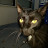 @franksconiers1389 Avatar
