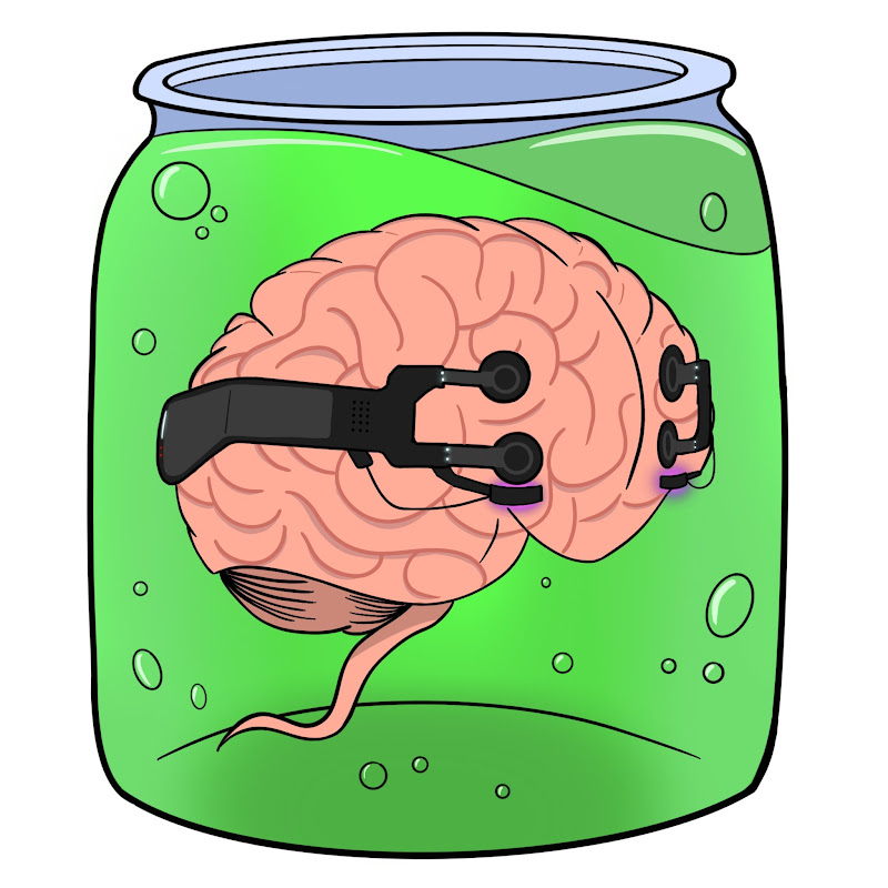 BrainDancer