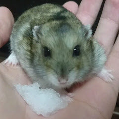 ふざけ