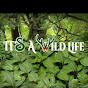 It's A Wild Life Image Thumbnail