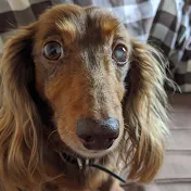 8ちょこ Garden&Farm