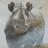 @jonathansquires3114 Avatar